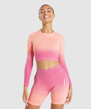 Dámské Oříznuté Topy Gymshark Adapt Ombre Seamless Long Sleeve Oranžové Růžové | CZ 3592KOR